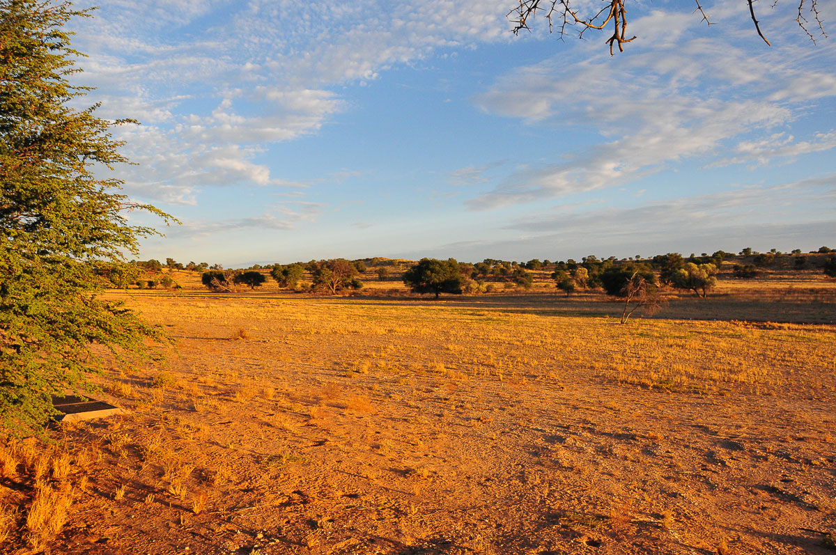 Beautiful lighting makes for good landscapes at Mata Mata camp