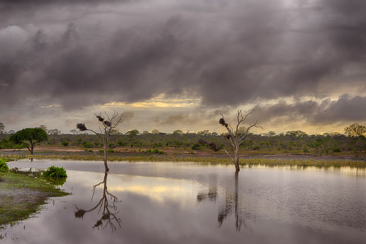 Mazithi Dam near Tshokwane in the Kruger National Park
