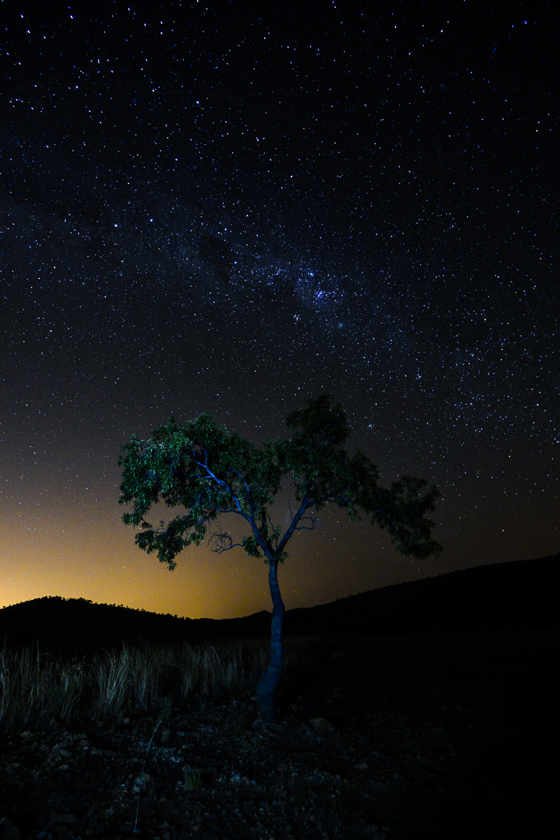 Milky way and tree at Tshukudu