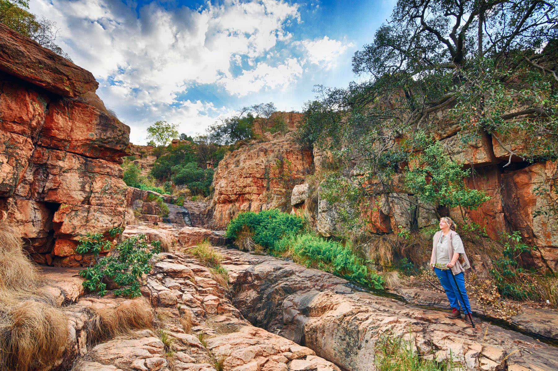 Milorho Lodge Hiking Trail