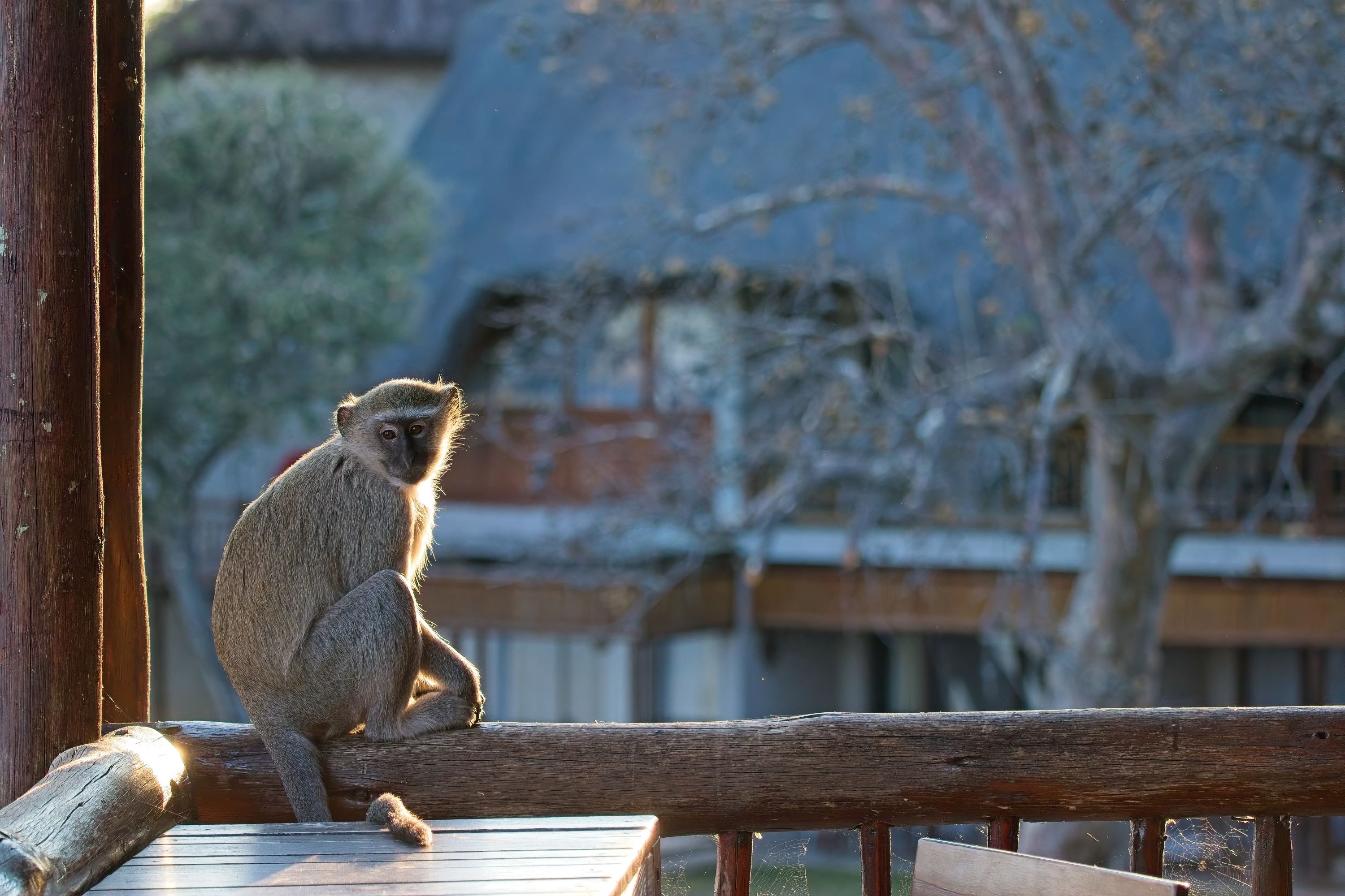 A visitor to Cresta Mowana Safari Lodge