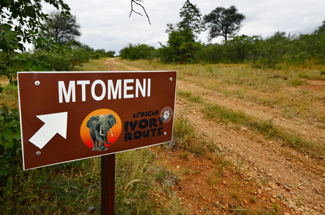 Mtomeni African Ivory Route