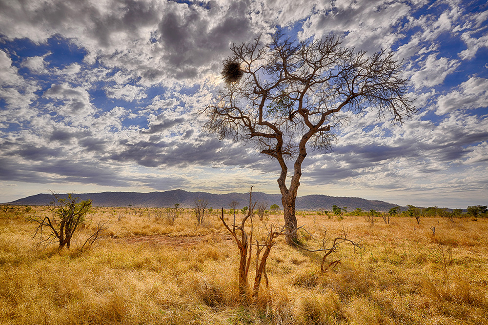 View of Muntshe taken from the H10 near Lower Sabie in the Kruger National Park