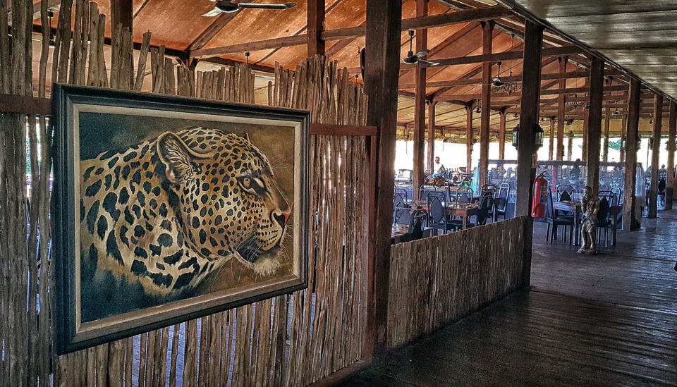 nkambeni safari lodge kruger