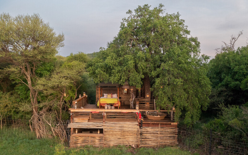 Jacis Tree Lodge Naledi under the stars