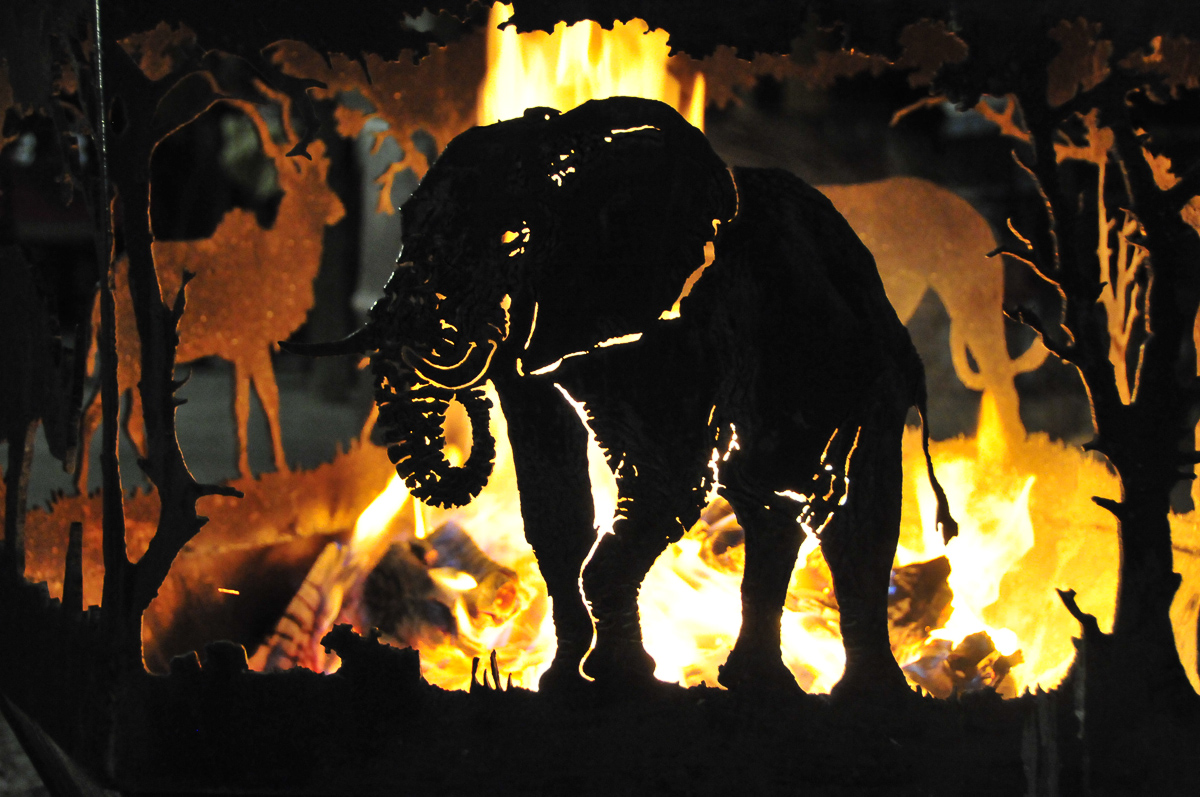 Namutoni fire pit with Elephant image