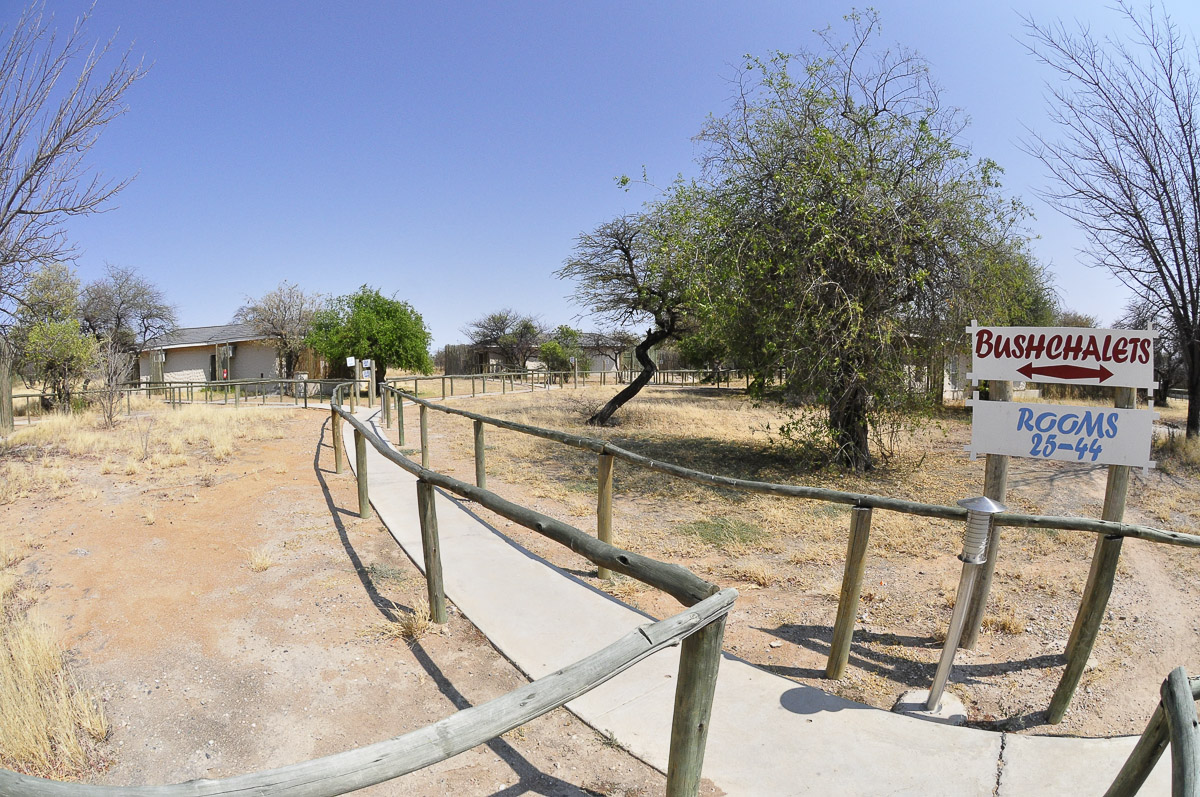 Pathway leading to Namutoni camps bush chalets