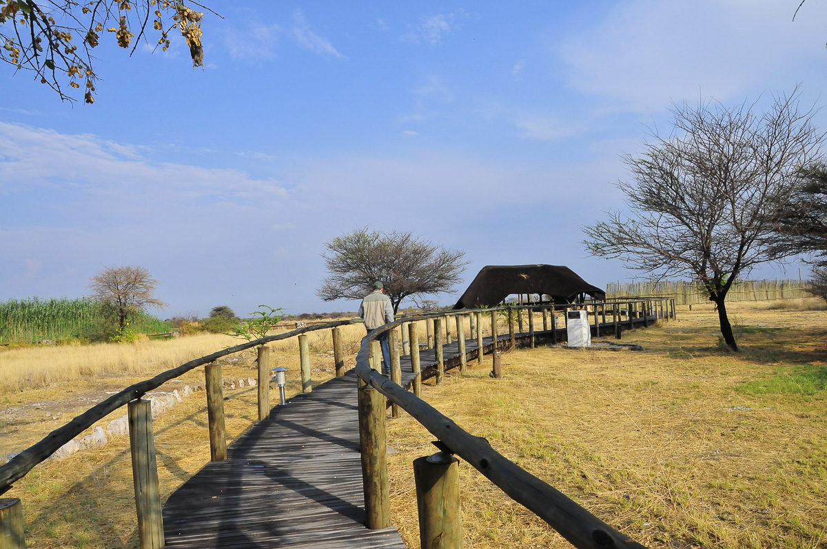 Namutoni wooden walkway to the hide in Etosha