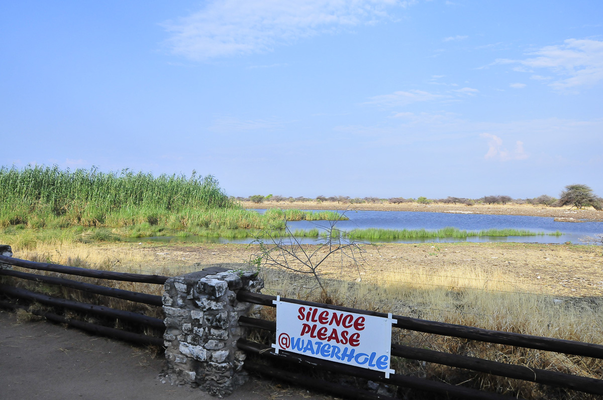 Namutoni King Nehale waterhole