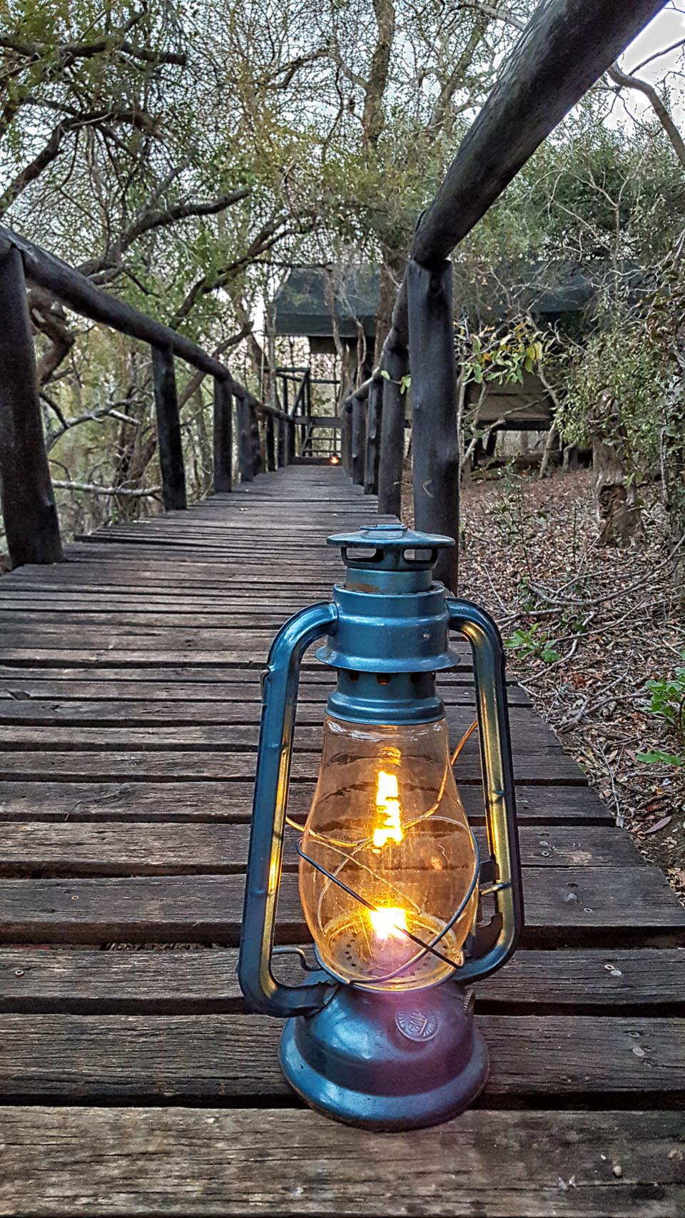 hurricane lamps lights the path to tent