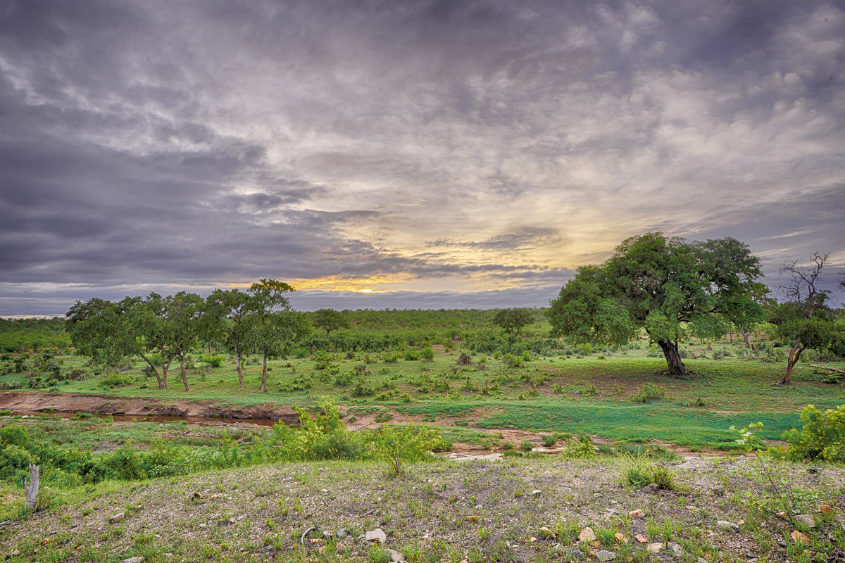 View from Ngobeni short loop on the H14 Near Phalaborwa in the Kruger National Park