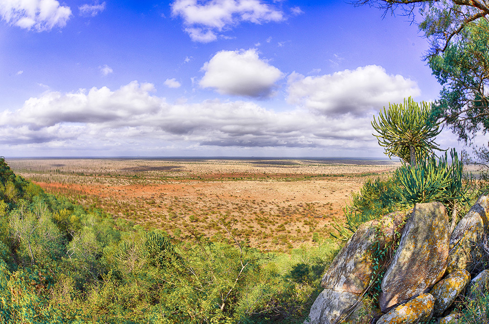 Landscapes of the Kruger National Park are not easy to photograph!