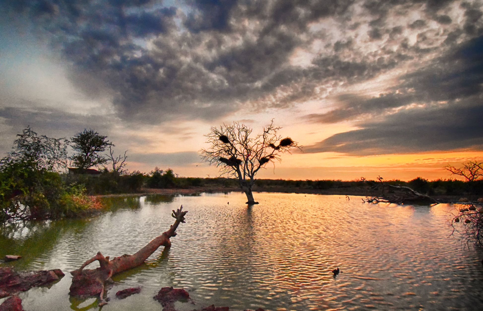 Sunrise at Nkwe Pan image taken while on game drive with Buffalo Ridge Lodge Madikwe