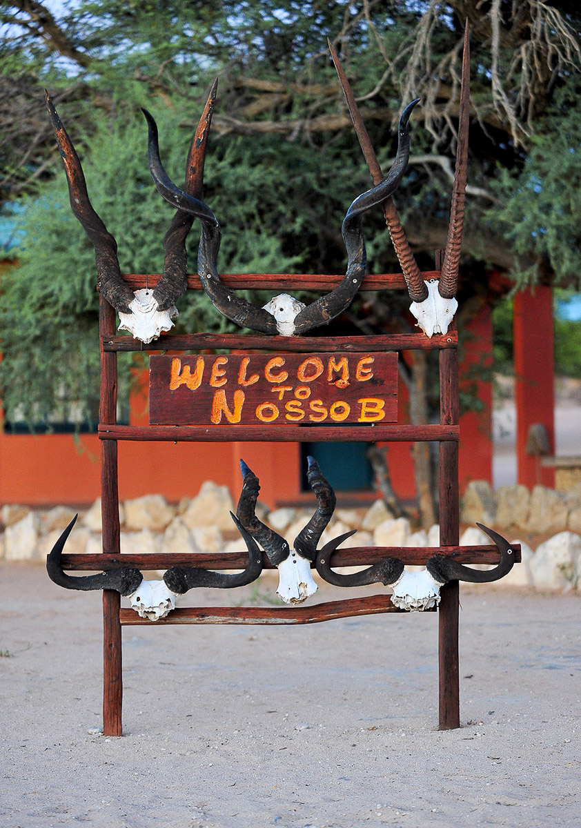 Nossob camp