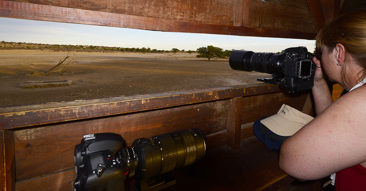 Nossob hide waterhole