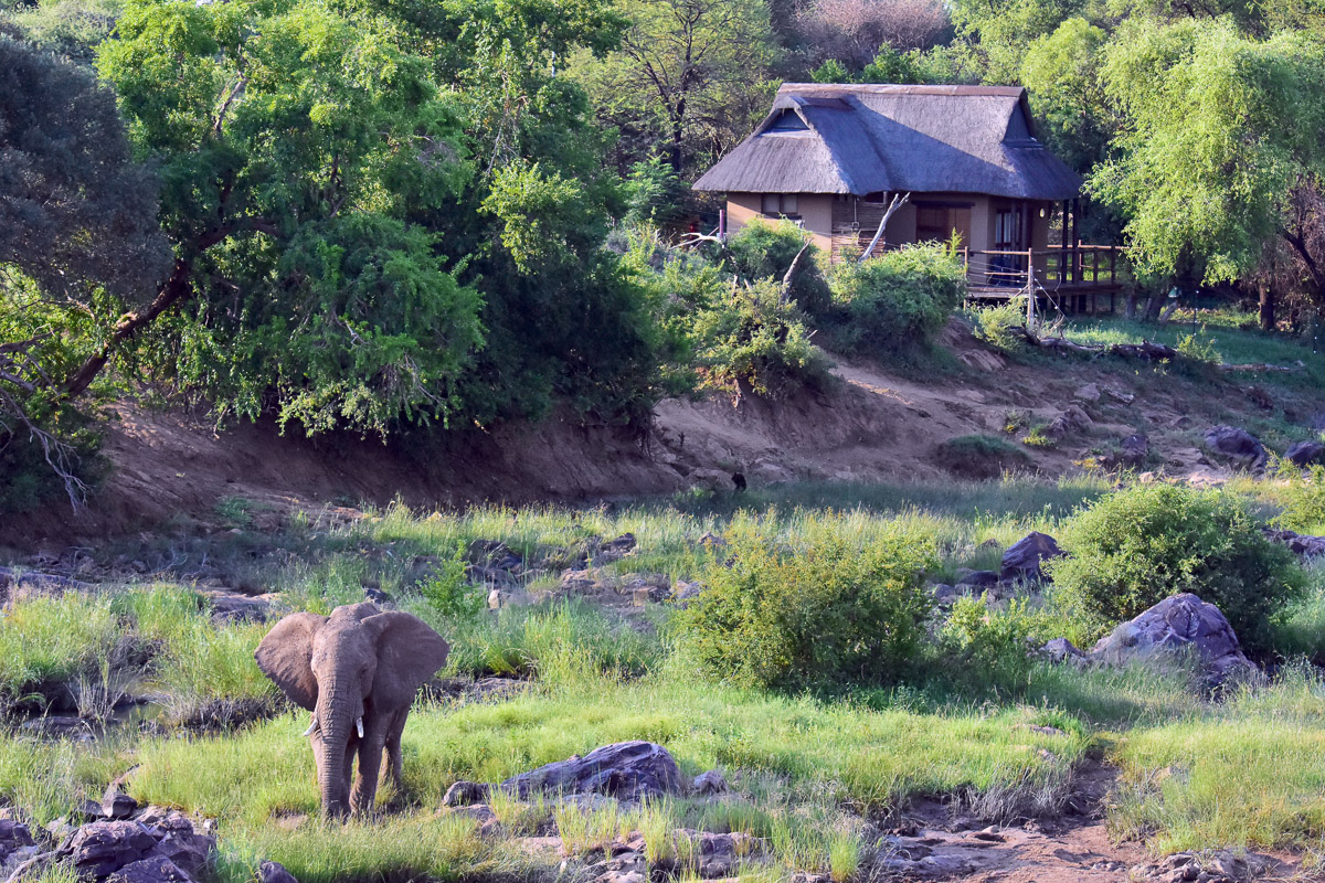 chalet number 17 at Madikwe River Lodge chalet number 17 at Madikwe River Lodge
