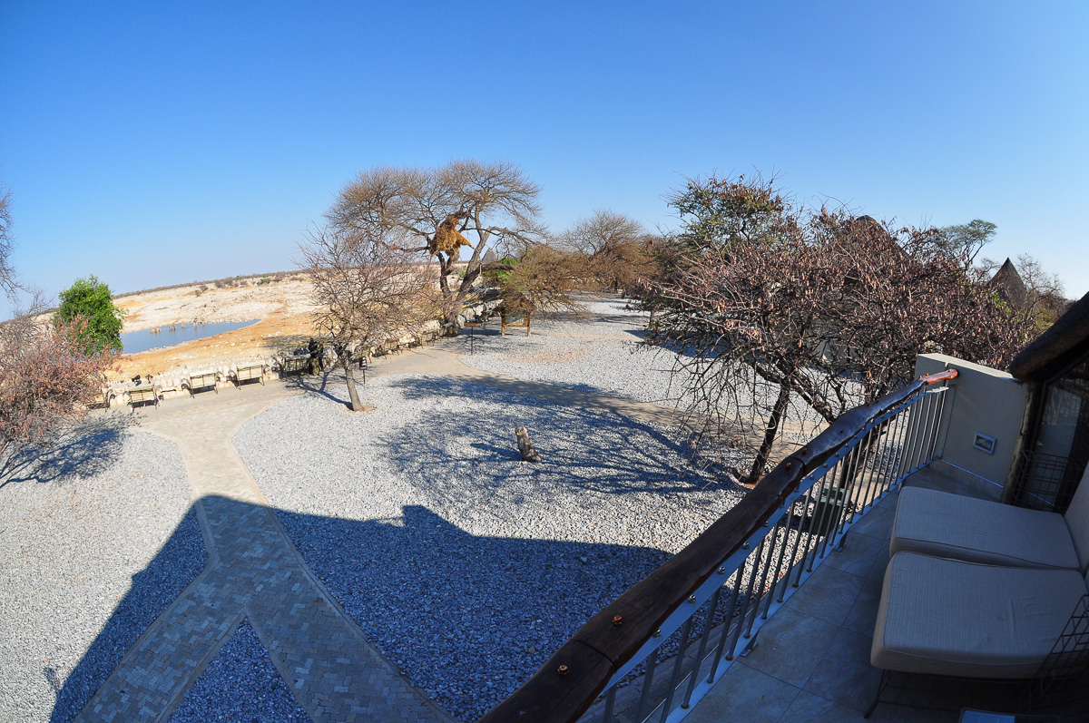 View of Okaukuejo waterhole from  upstairs balcony