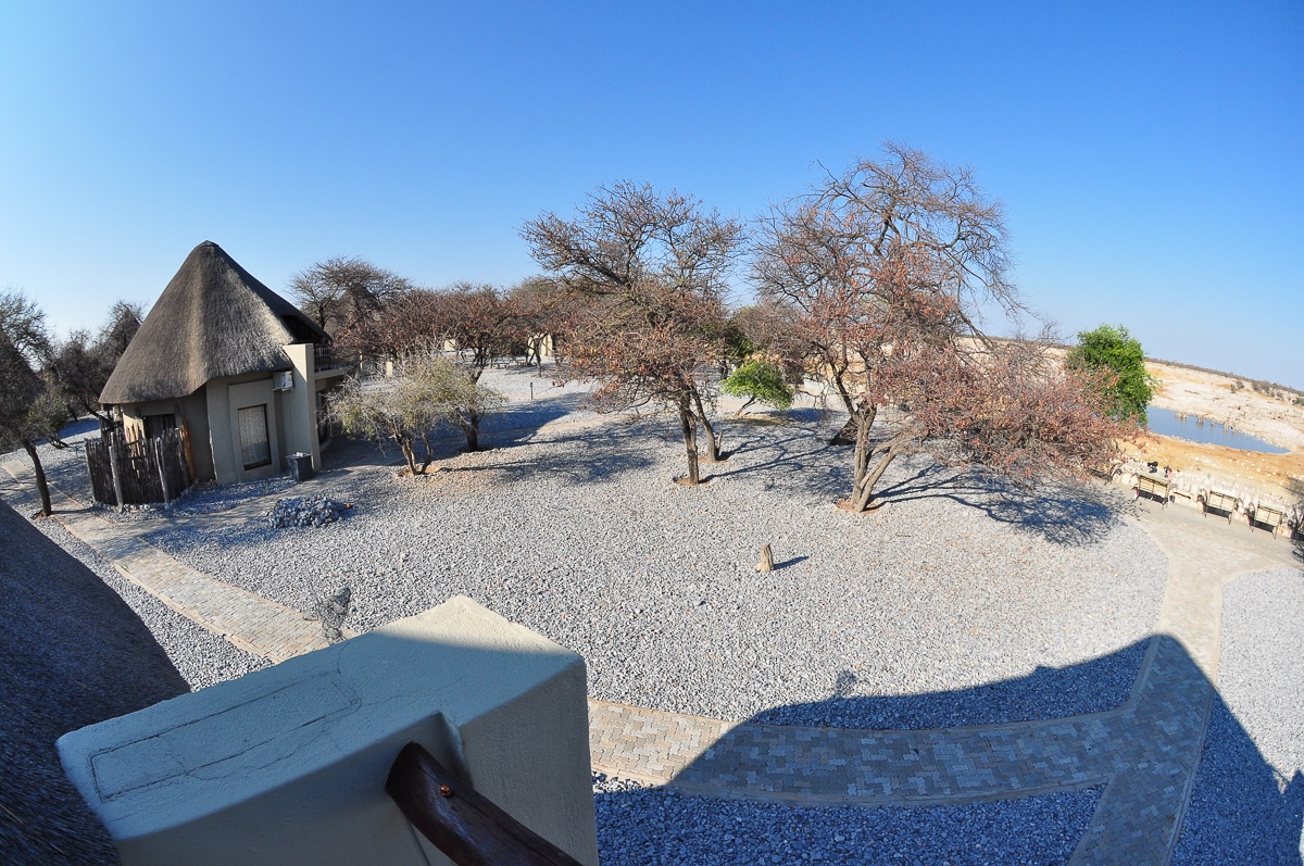 Okaukuejo waterhole Chalet view