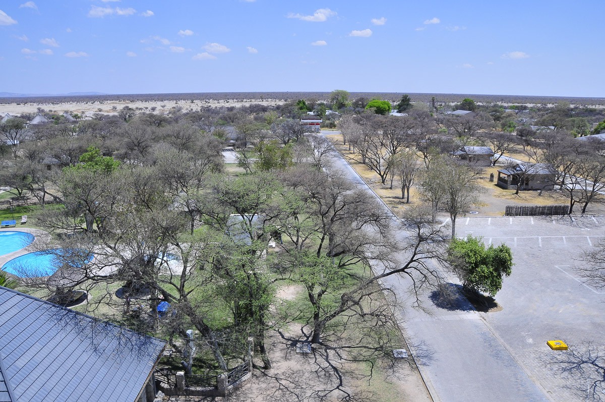 View of swimming pool from the Okaukuejo camps tower