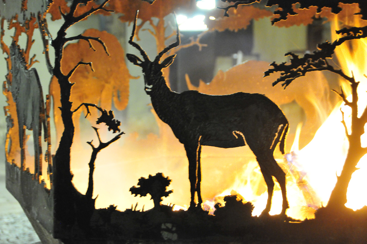 Okaukuejo fire pit impala
