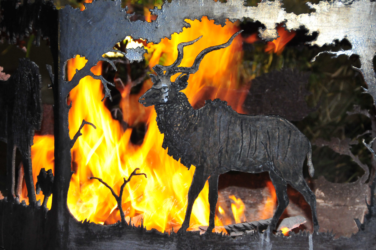 Okaukuejo fire pit kudu