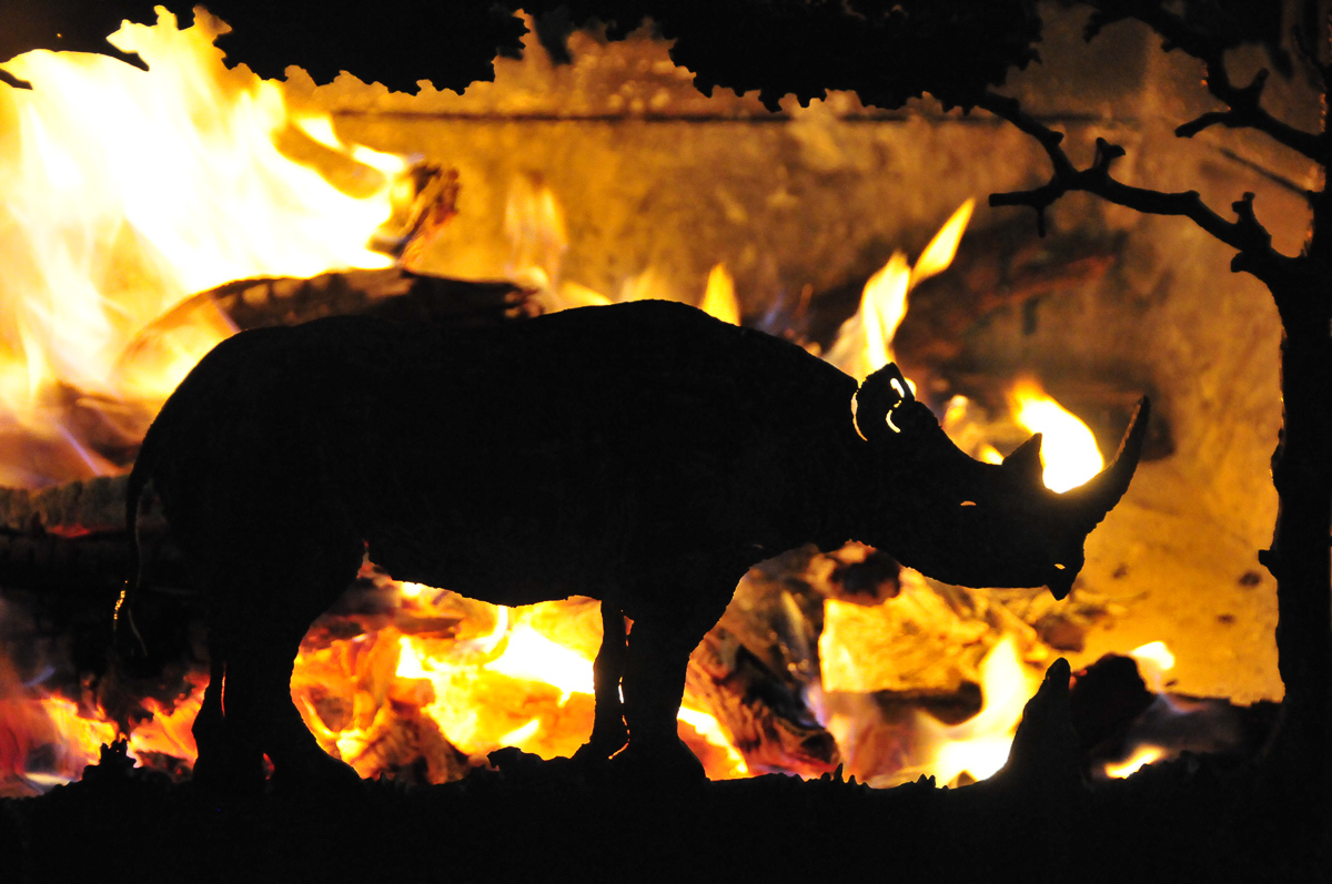 Okaukuejo fire pit rhino