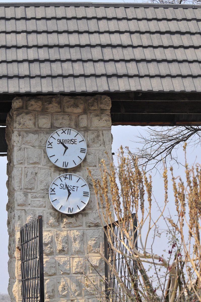 Okaukuejo gate times