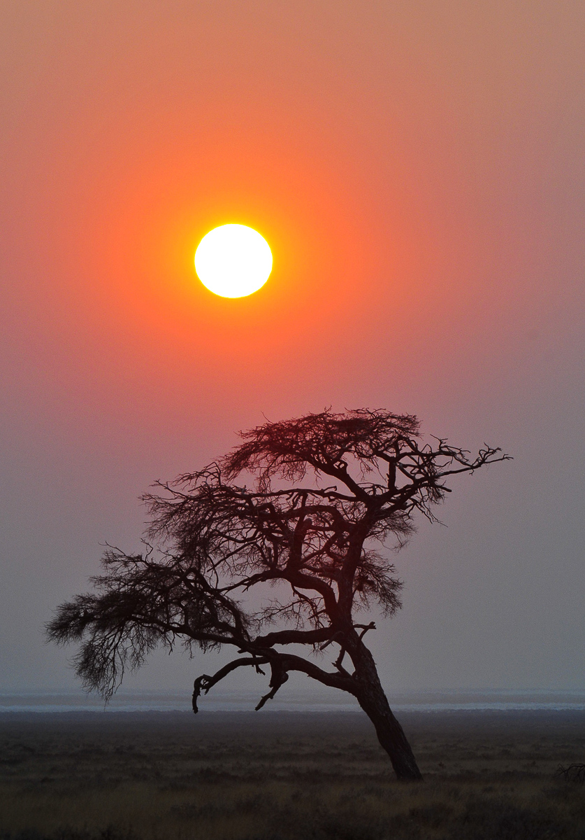 Sunrise near Okaukuejo camp in Etosha