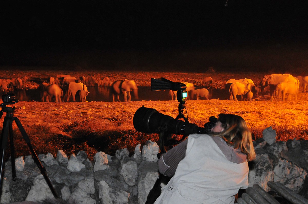 Photographing at night at Okaukuejo