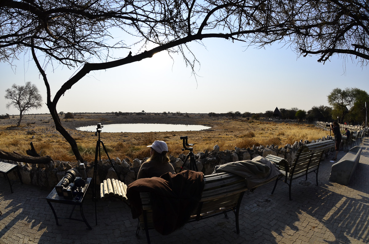 Okaukuejo waterhole setup