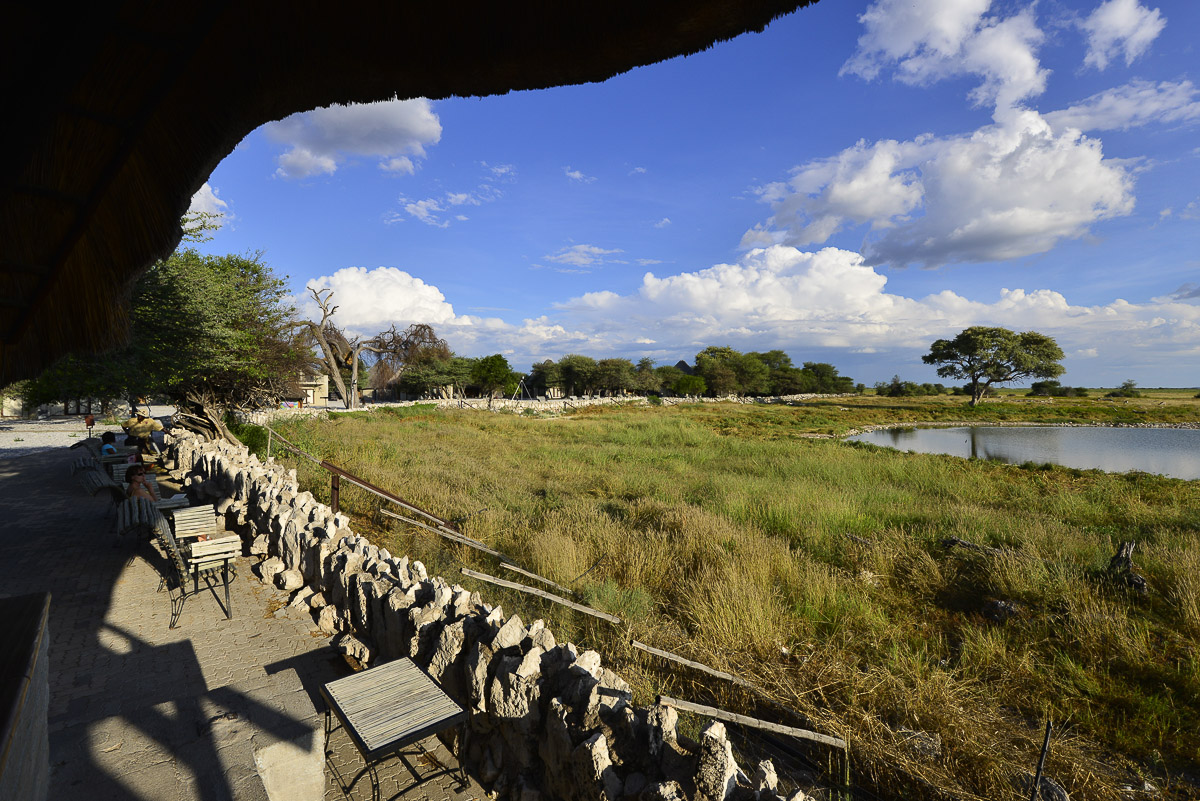 View of the Okaukuejo waterhole from the thatched seating area