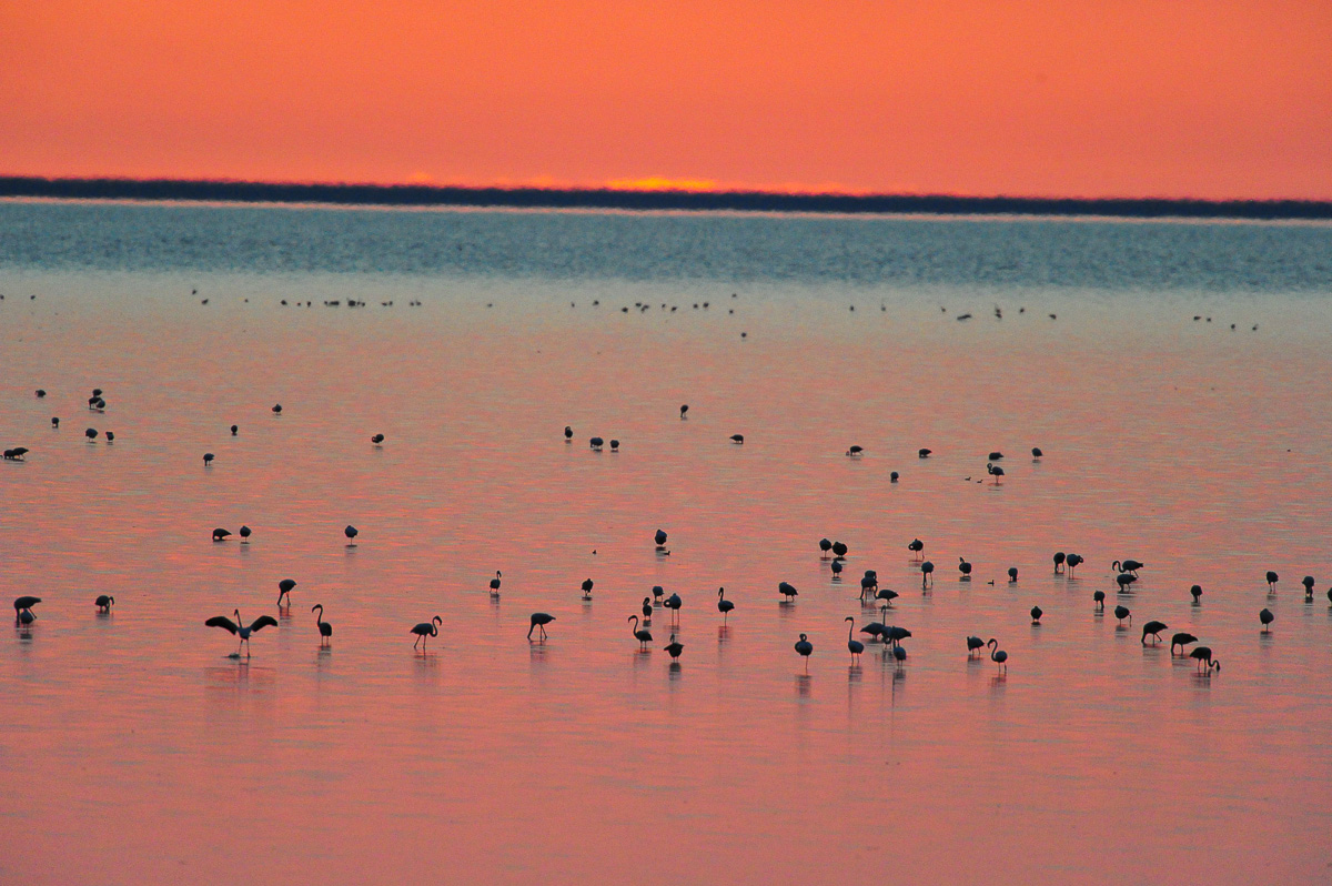Sunset and flamingos at Onkoshi camp