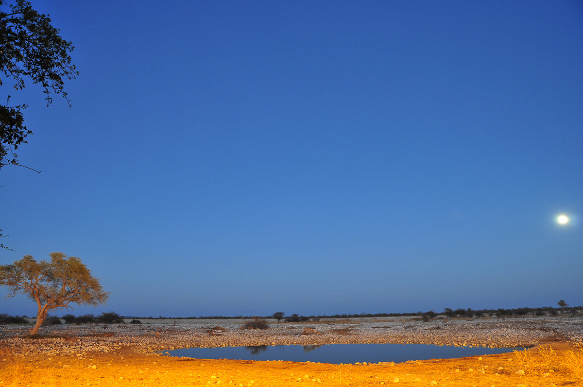 Okaukuejo waterhole with the moon in Etosha