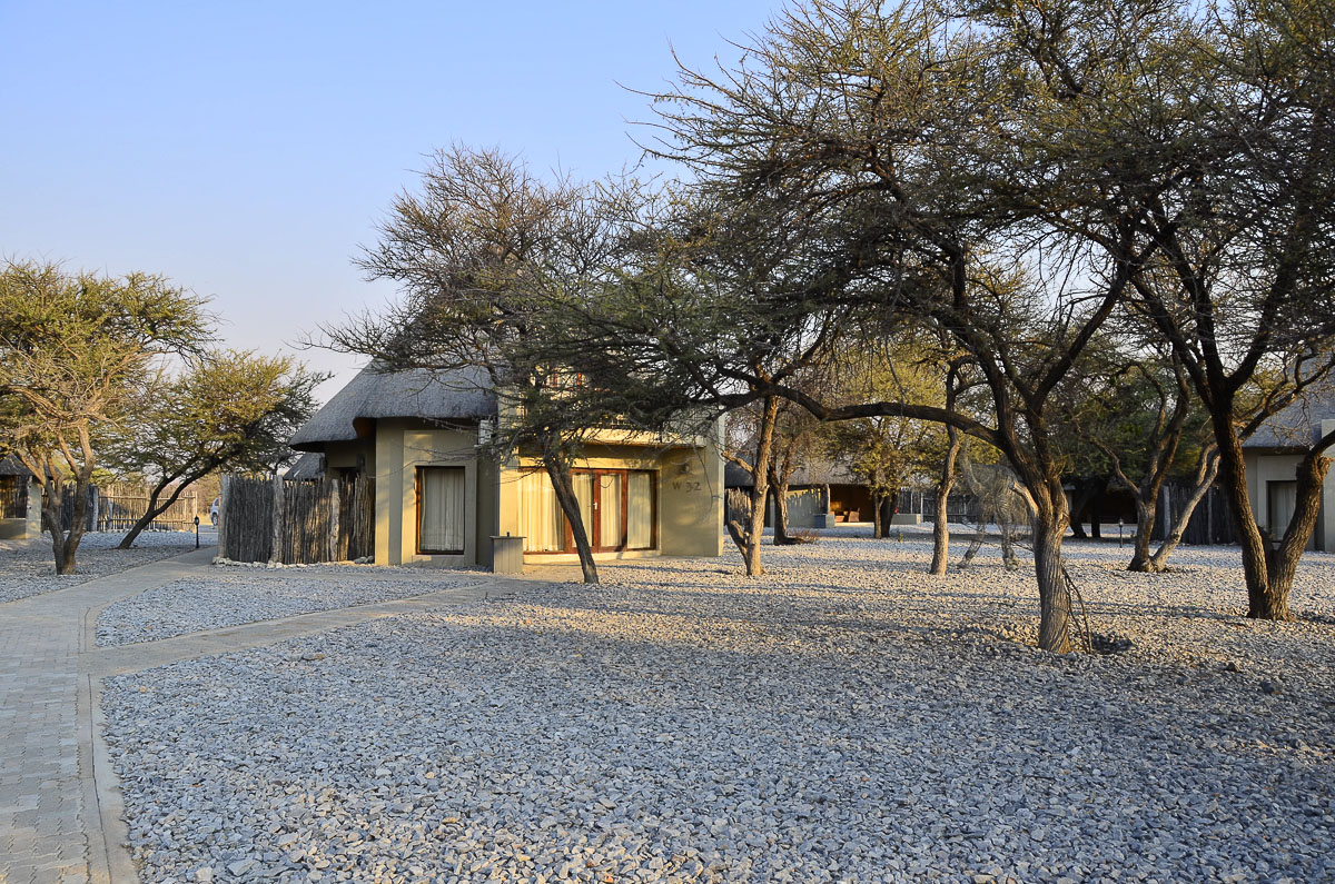 Okaukuejo waterhole chalets