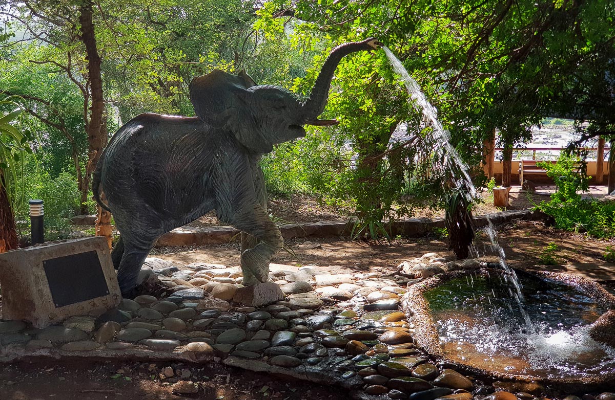 Olifants camps Elephant fountain
