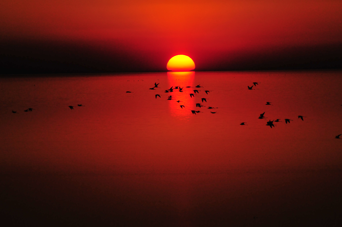 Onkoshi sunset over the Etosha pan