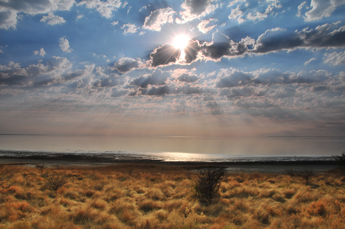 landscape of Etosha pan taken from Onkoshi camp