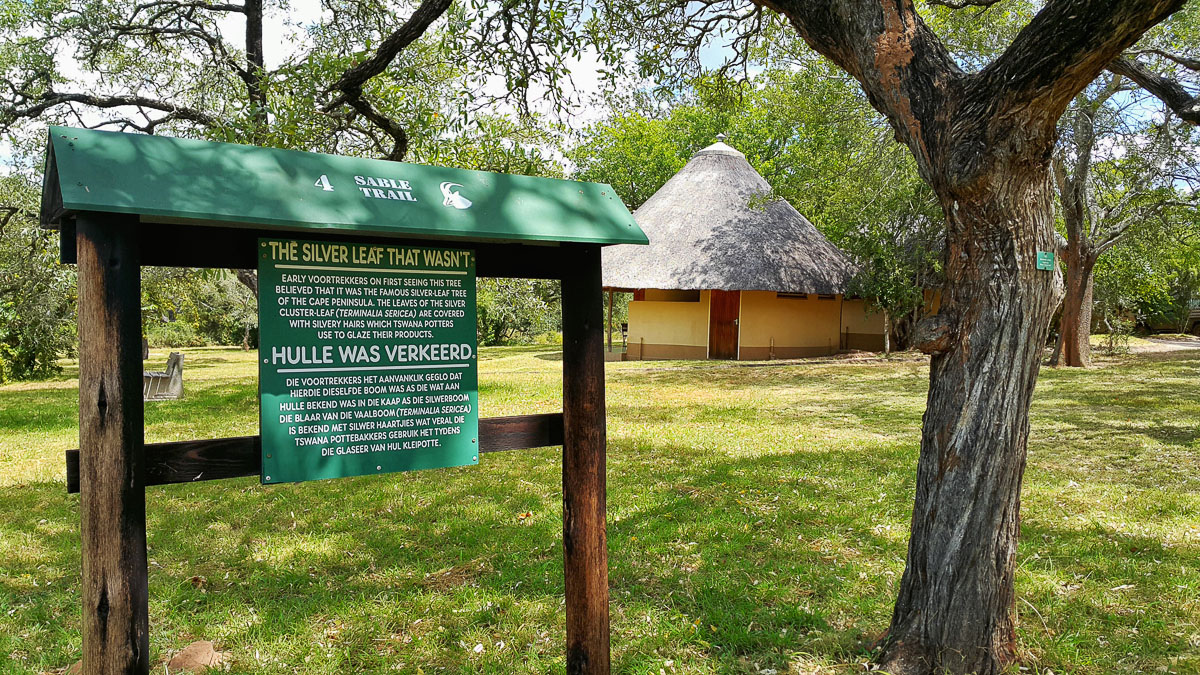 The walk round Pretoriuskop camp