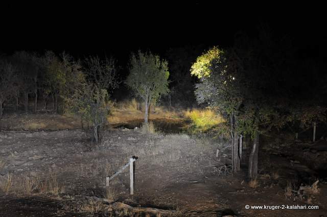 Waterhole at night Waterhole at night