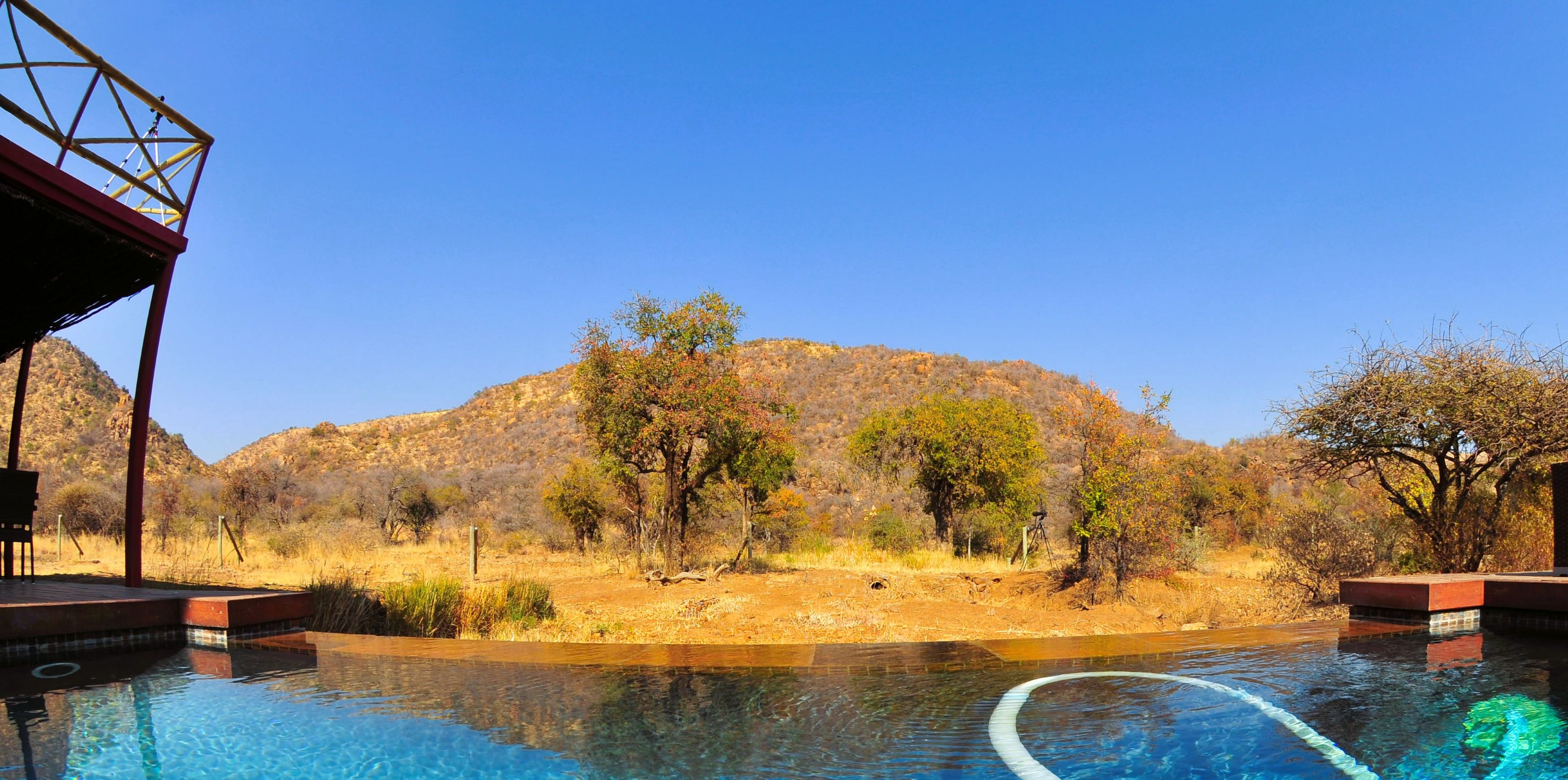 Pool at Pilanesberg Private Lodge