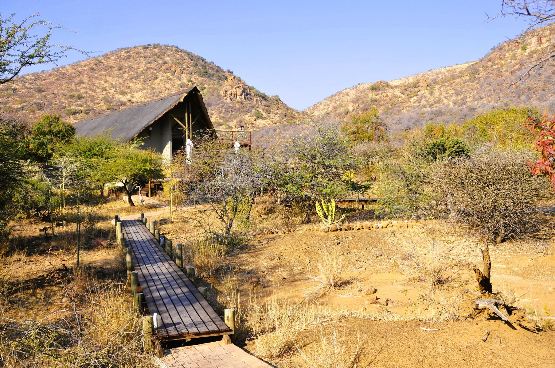 View of Pilanesberg Private Lodge