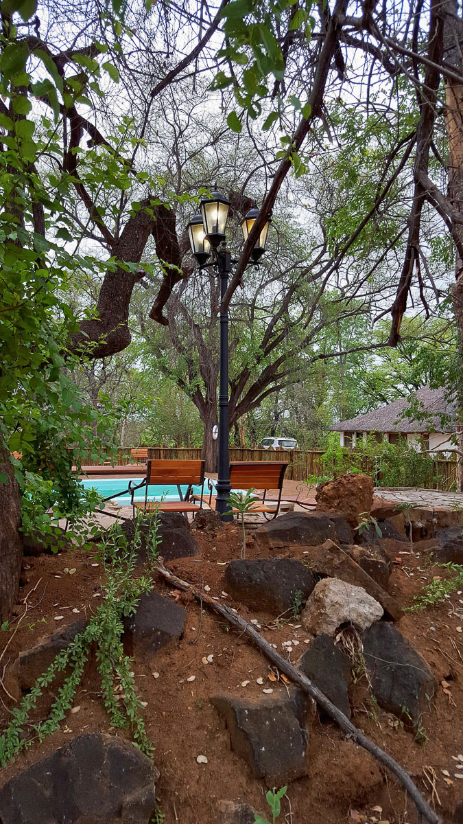 Pafuri swimming pool