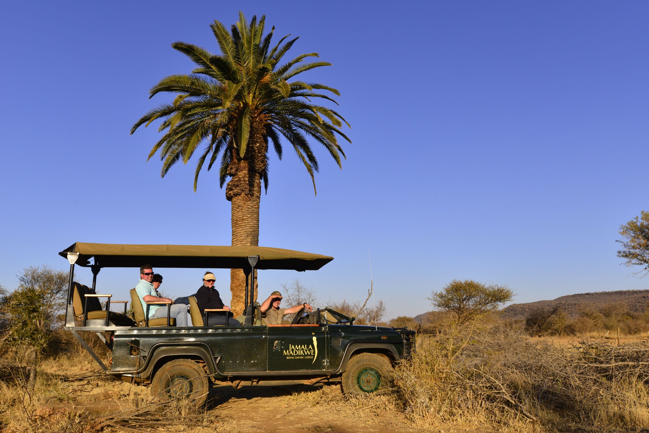 Palm tree game drive Jamala Palm tree game drive Jamala