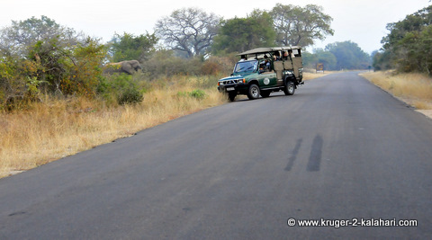 Park on side closest to animal