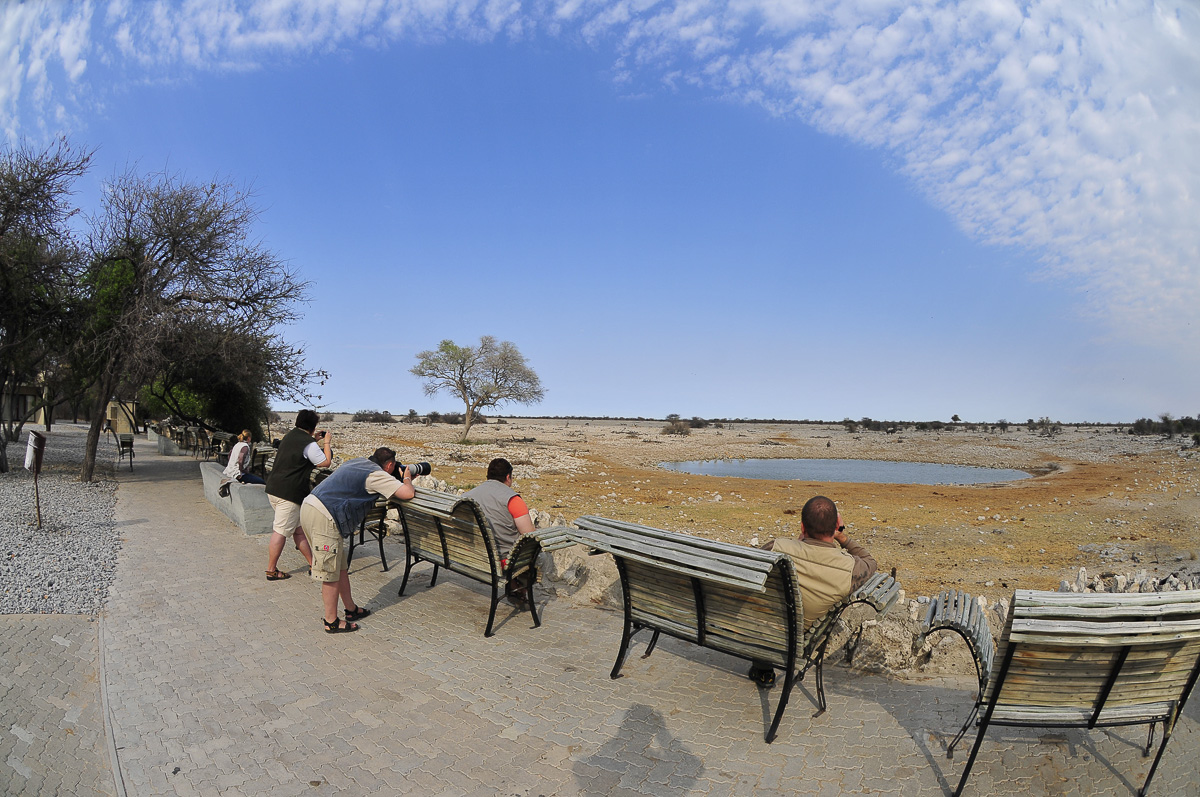 Photographers at Okaukuejo waterhole