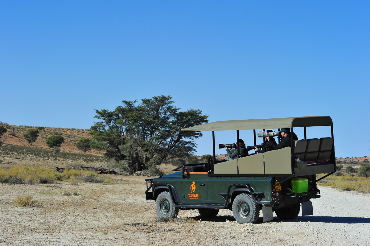 Out on photographic Safari