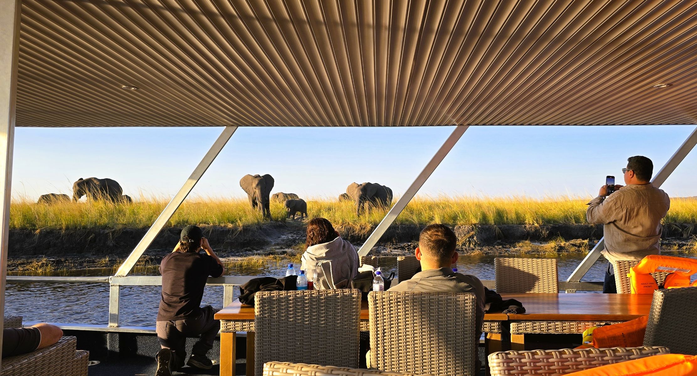 Photographing Elephant on the Chobe River