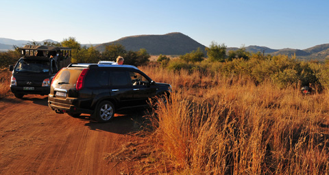 pilanesberg cowboy drivers