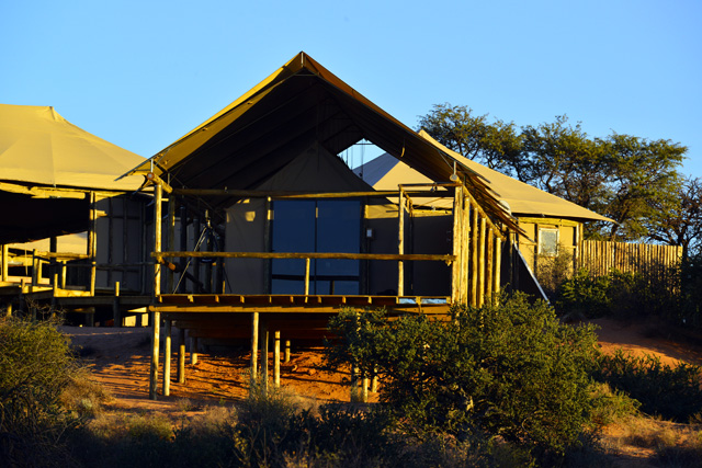 Polentswa Lodge tent Polentswa Lodge tent