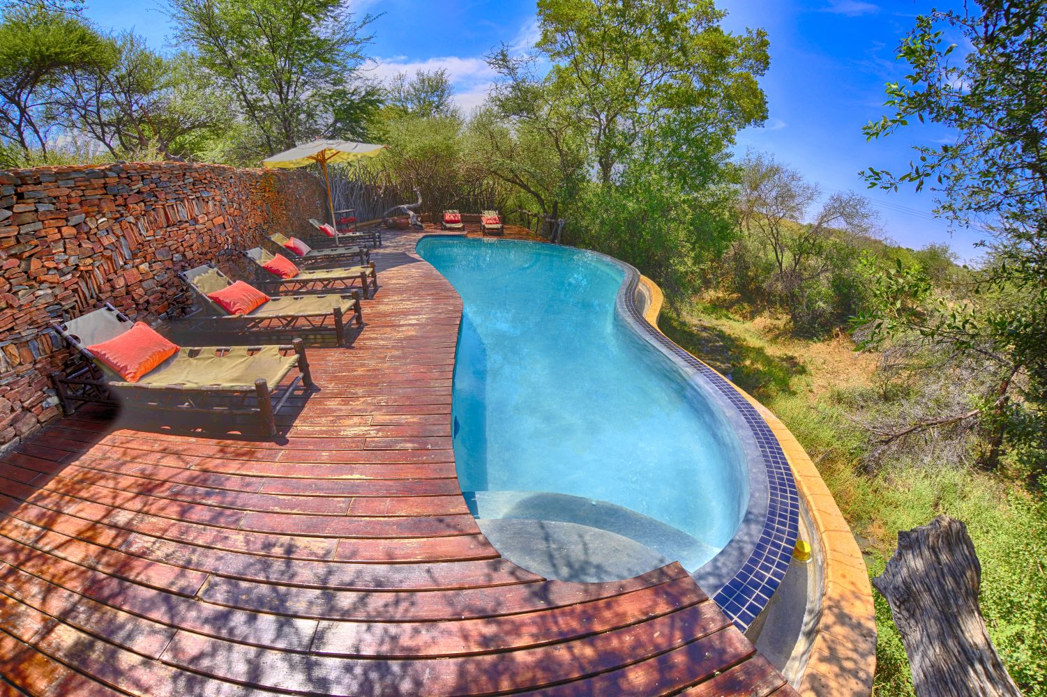 The infinity pool at Makanyane Safari Lodge